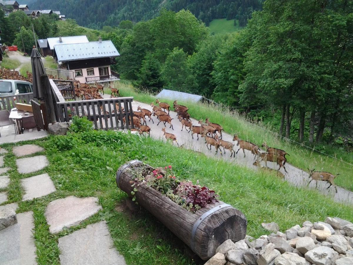 Le Refuge Des Marmottes Villa Arêches Kültér fotó